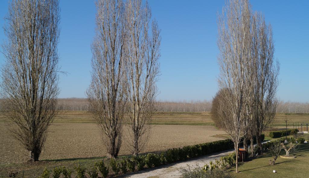 Conte Pietro Room&Breakfast Ferrara Exterior foto